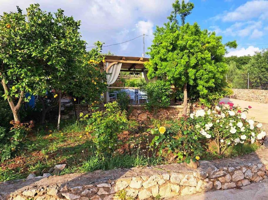 Fragosiko - Rustic Retreat In Kefalonia Argostoli  Zewnętrze zdjęcie