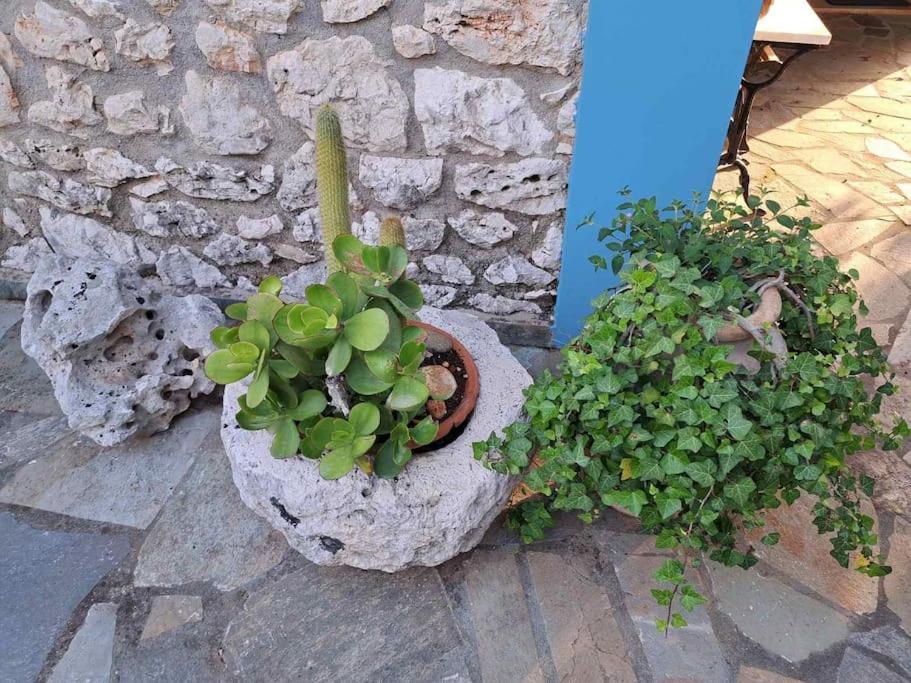Fragosiko - Rustic Retreat In Kefalonia Argostoli  Zewnętrze zdjęcie