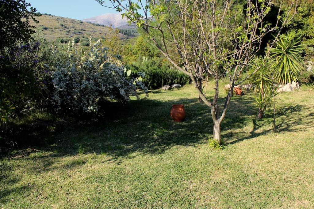 Fragosiko - Rustic Retreat In Kefalonia Argostoli  Zewnętrze zdjęcie