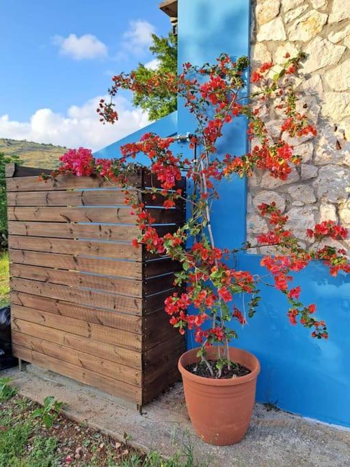 Fragosiko - Rustic Retreat In Kefalonia Argostoli  Zewnętrze zdjęcie