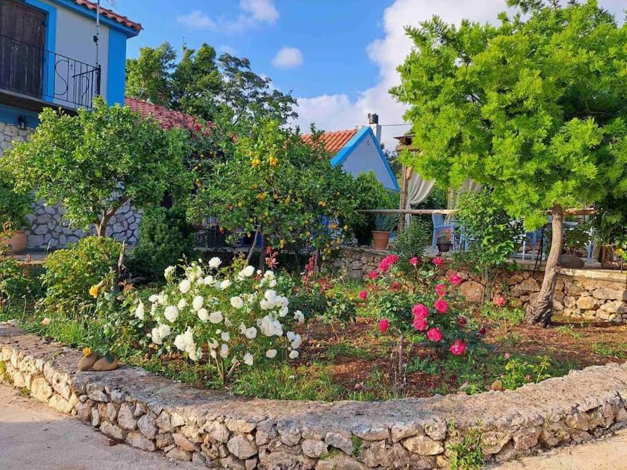 Fragosiko - Rustic Retreat In Kefalonia Argostoli  Zewnętrze zdjęcie