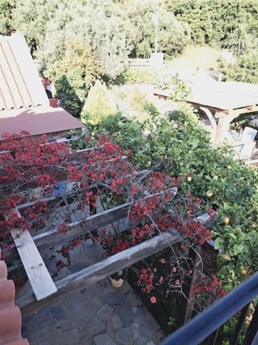Fragosiko - Rustic Retreat In Kefalonia Argostoli  Zewnętrze zdjęcie