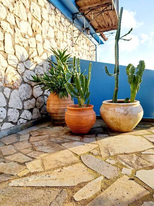 Fragosiko - Rustic Retreat In Kefalonia Argostoli  Zewnętrze zdjęcie